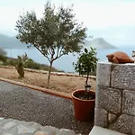 Sofilia View House *