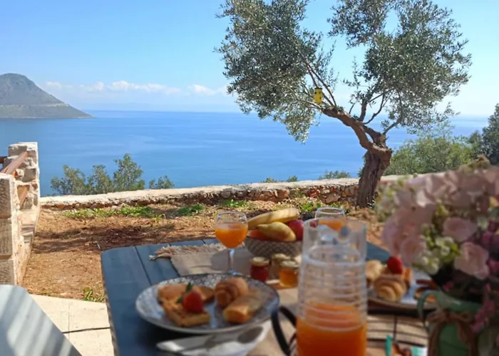 Sofilia View House
